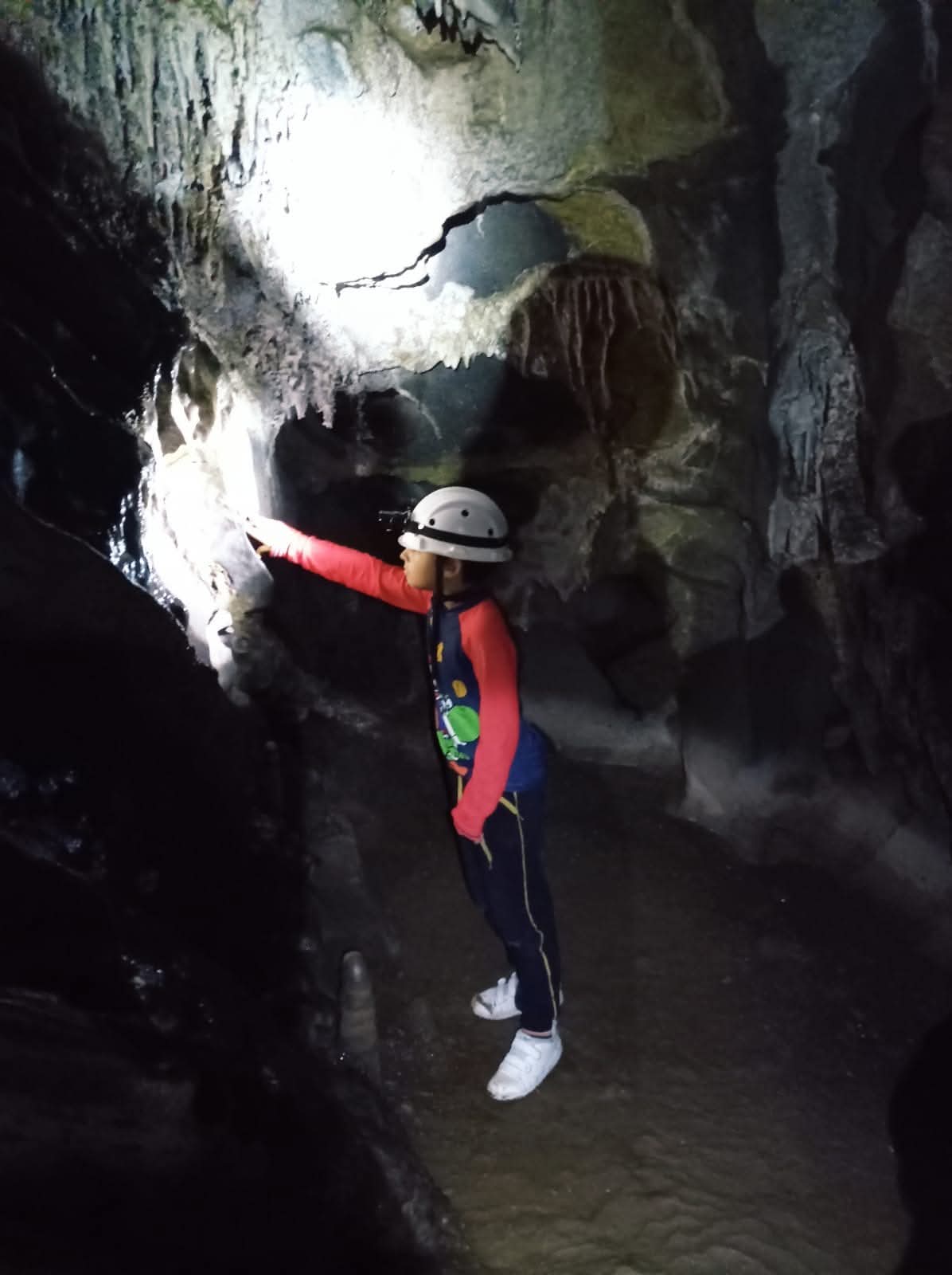 Foto 2 Trilha do Betary