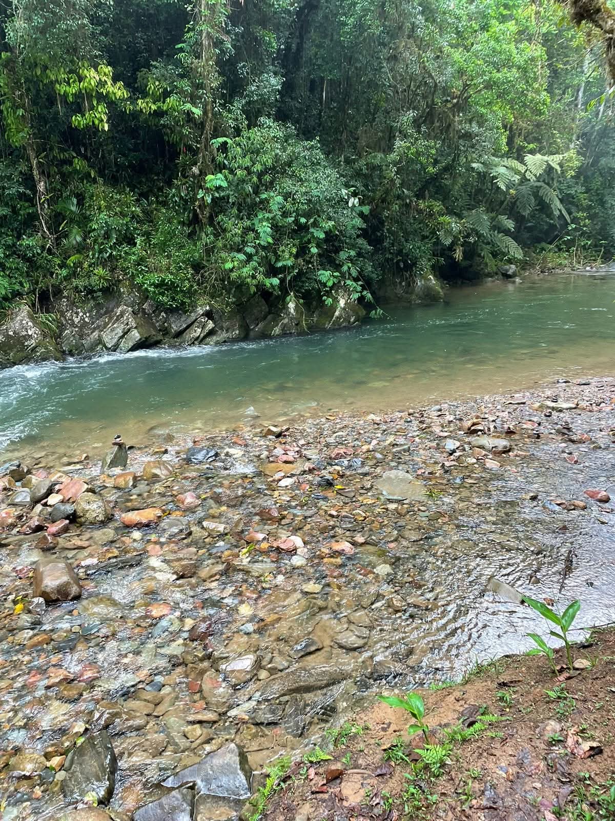 Foto 1 Trilha do Betary